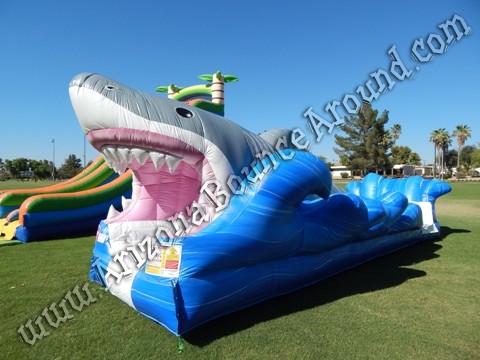 Shark Week party ideas Phoenix Arizona